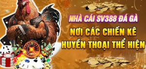 Sv388 Win - Trải nghiệm đá gà trực tuyến tuyệt vời